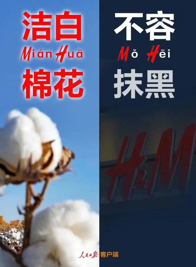 潔白棉花，不容抹黑，花榮華與華一起